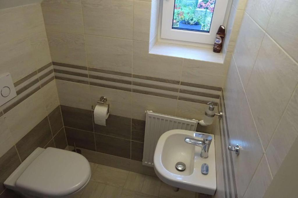 Česká Kamenice Apartman Boruvka מראה חיצוני תמונה